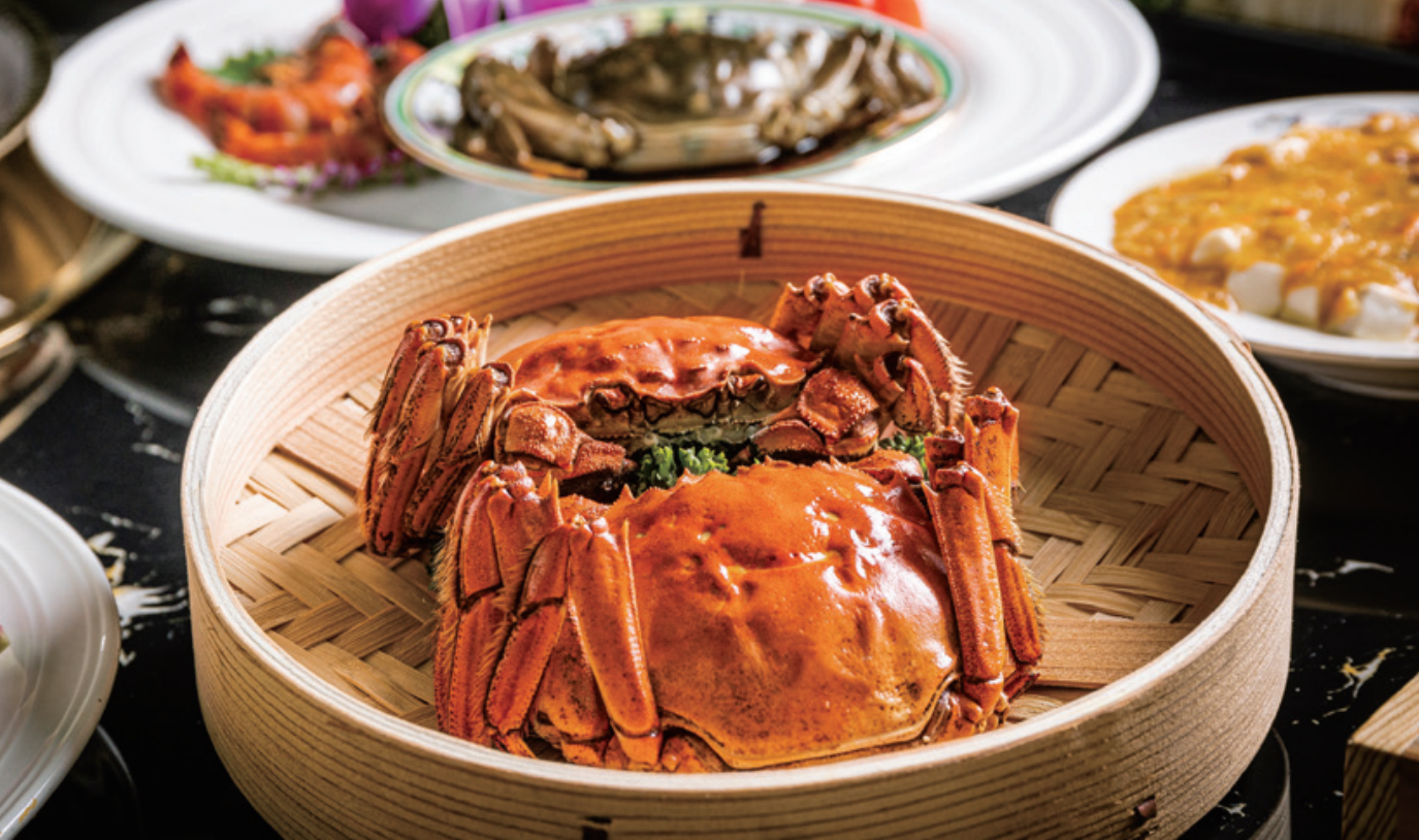 图片_20251016180210_251_81.png